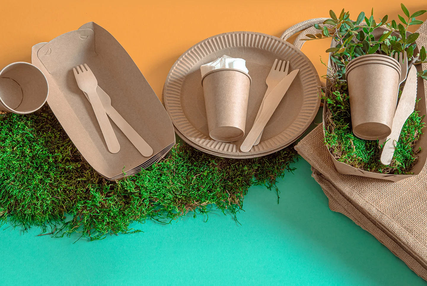 Box-for-Food-Packaging-Paper-Cup-Glass-Plates-Tray-Fork-Knife